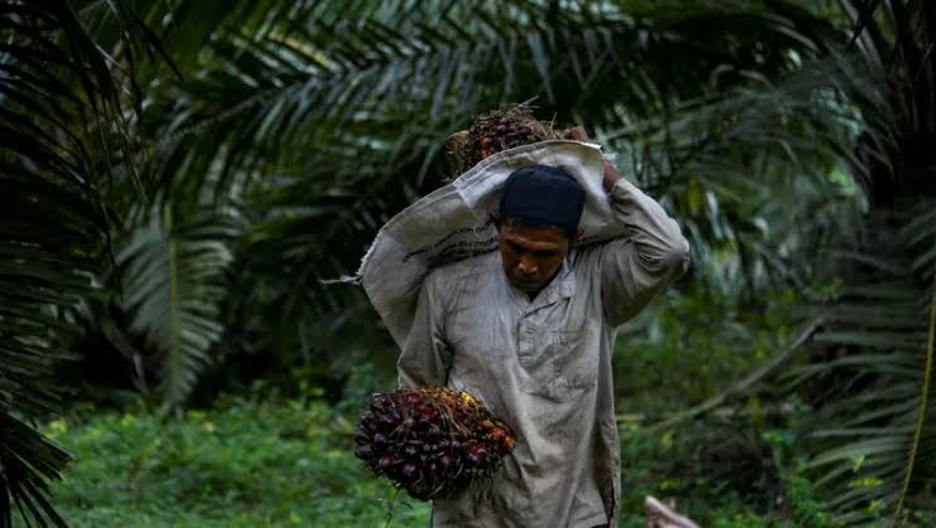 Ilustrasi. (Dok: Liputan6) 