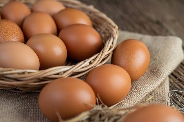 Cara Menyimpan Telur Agar Awet dan Tetap Segar