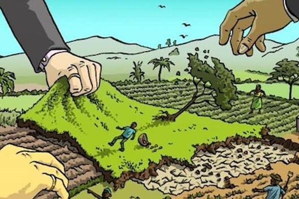 Diduga Serobot Lahan PT Pancapuri, Mantan Anggota DPRD Cilegon Dilaporkan ke Polda Banten