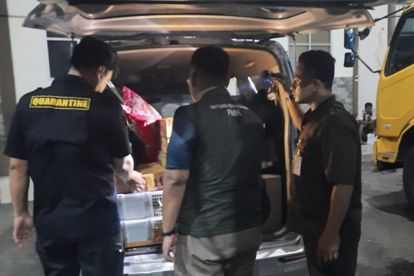 Tanpa Dokumen, Pengiriman Burung Asal Bandar Lampung Ditangkap Karantina Banten