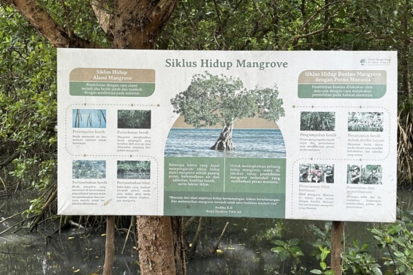 Oase Hijau di Tengah Beton: Menjaga 